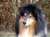 buster202.jpg (51925 byte)